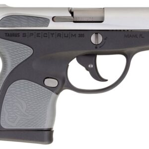 Taurus Spectrum .380 Auto Black Pistol with Stainless Slide and Gray Grips