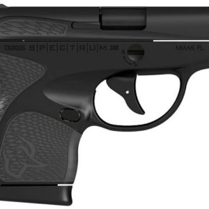 Taurus Spectrum 380 ACP Black/Gray Carry Conceal Pistol