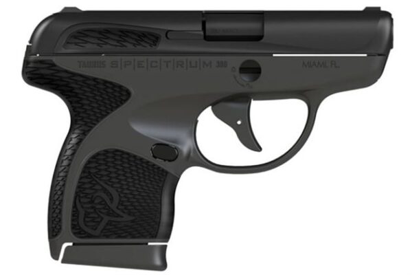 Taurus Spectrum 380 ACP Gray/Black Carry Conceal Pistol